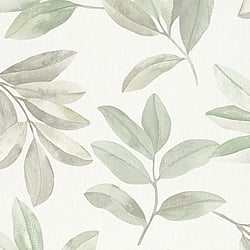 Galerie Wallcoverings Product Code 34708 - The New Design Book Wallpaper Collection - White,Green Colours - Twig Leaf Design