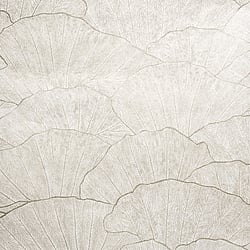 Galerie Wallcoverings Product Code 65004 - Feel Wallpaper Collection - Silver Light Grey Cream  Colours - Seashell Design