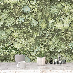 Galerie Wallcoverings Product Code 7320 - Evergreen Wallpaper Collection - Green Colours - Succulents Design