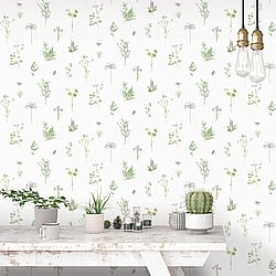 Galerie Wallcoverings Product Code 7342 - Evergreen Wallpaper Collection - Multicolor Colours - Botanical Design