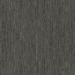 Galerie Wallcoverings Product Code 95033 - Air Wallpaper Collection - Black Colours - Add warmth and depth to your home with this gorgeous textured paper. Its understated tone and glamorous design makes it suitable as an all-wall solution, but it would equally create a stunning feature wall if that's the look you're going for. Design