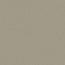 Galerie Wallcoverings Product Code: DC30043 - Designer Colours Wallpaper Collection Galerie Wallcoverings Product Code DC30043 - Designer Colours Wallpaper Collection - Beige Colours - Abstract Lines Design