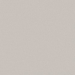 Galerie Wallcoverings Product Code: DC30118 - Designer Colours Wallpaper Collection Galerie Wallcoverings Product Code DC30118 - Designer Colours Wallpaper Collection - Beige Colours - Abstract Texture Design