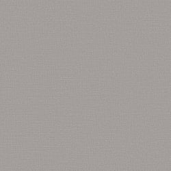 Galerie Wallcoverings Product Code: DC30119 - Designer Colours Wallpaper Collection Galerie Wallcoverings Product Code DC30119 - Designer Colours Wallpaper Collection - Silver Grey Colours - Abstract Texture Design