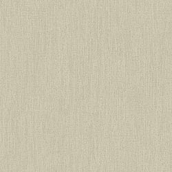 Galerie Wallcoverings Product Code: DC30122 - Designer Colours Wallpaper Collection Galerie Wallcoverings Product Code DC30122 - Designer Colours Wallpaper Collection - Beige Colours - Climbing Texture Design