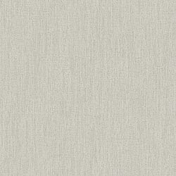 Galerie Wallcoverings Product Code: DC30126 - Designer Colours Wallpaper Collection Galerie Wallcoverings Product Code DC30126 - Designer Colours Wallpaper Collection - Beige Colours - Climbing Texture Design