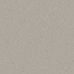 Galerie Wallcoverings Product Code: DC30144 - Designer Colours Wallpaper Collection Galerie Wallcoverings Product Code DC30144 - Designer Colours Wallpaper Collection - Beige Colours - Close Texture Design