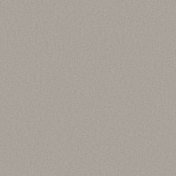 Galerie Wallcoverings Product Code: DC30145 - Designer Colours Wallpaper Collection Galerie Wallcoverings Product Code DC30145 - Designer Colours Wallpaper Collection - Silver Grey Colours - Close Texture Design