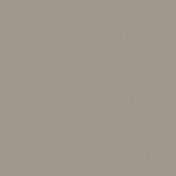 Galerie Wallcoverings Product Code: DC30155 - Designer Colours Wallpaper Collection Galerie Wallcoverings Product Code DC30155 - Designer Colours Wallpaper Collection - Silver Grey Colours - Raised Texture Design