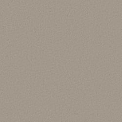 Galerie Wallcoverings Product Code: DC30156 - Designer Colours Wallpaper Collection Galerie Wallcoverings Product Code DC30156 - Designer Colours Wallpaper Collection - Beige Colours - Raised Texture Design