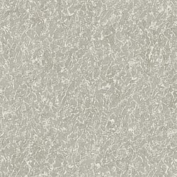 Galerie Wallcoverings Product Code: DC30164 - Designer Colours Wallpaper Collection Galerie Wallcoverings Product Code DC30164 - Designer Colours Wallpaper Collection - Silver Grey Colours - Worn Texture Design