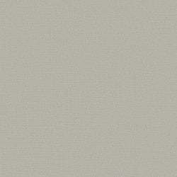 Galerie Wallcoverings Product Code: DC30202 - Designer Colours Wallpaper Collection Galerie Wallcoverings Product Code DC30202 - Designer Colours Wallpaper Collection - Silver Grey Colours - Fine Lines Texture Design