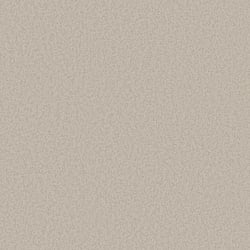 Galerie Wallcoverings Product Code: DC30241 - Designer Colours Wallpaper Collection Galerie Wallcoverings Product Code DC30241 - Designer Colours Wallpaper Collection - Beige Colours - Fine Texture Design