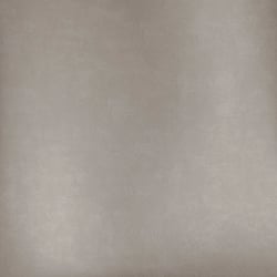 Galerie Wallcoverings Product Code: DW1007 - Designer Walls Wallpaper Collection Galerie Wallcoverings Product Code DW1007 - Designer Walls Wallpaper Collection - Velvet Champagne Colours - Plain Design