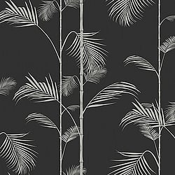 Galerie Wallcoverings Product Code ED13070 - Ted Baker Eden Wallpaper Collection - Black Silver Colours - Carmel Design