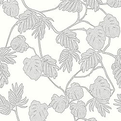 Galerie Wallcoverings Product Code ED13076 - Ted Baker Eden Wallpaper Collection - White Black Colours - Leafit Design