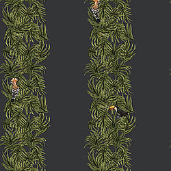Galerie Wallcoverings Product Code ED13138 - Ted Baker Eden Wallpaper Collection - Navy Blue Green Orange Colours - Compala Design