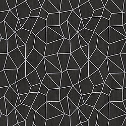 Galerie Wallcoverings Product Code G67694 - Special Fx Wallpaper Collection - Black Silver Colours - Glitter Web Design