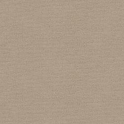 Galerie Wallcoverings Product Code HV41004 - Blooming Wild Wallpaper Collection - Beige Brown Colours - Havana Plain Texture Design