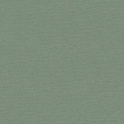 Galerie Wallcoverings Product Code HV41017 - Blooming Wild Wallpaper Collection - Green Colours - Havana Plain Texture Design