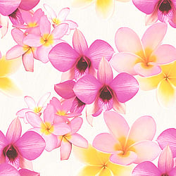 Galerie Wallcoverings Product Code PA16831 - Paradisio Wallpaper Collection -   