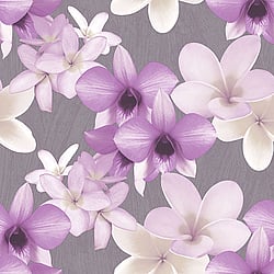 Galerie Wallcoverings Product Code PA16833 - Paradisio Wallpaper Collection -   