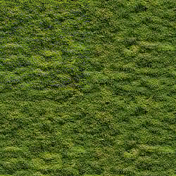 Galerie Wallcoverings Product Code WH45208M - Welcome Home Murals Wallpaper Collection - Green Colours - Moss Haven Design