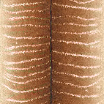 Galerie Wallcoverings Product Code 473520 - African Queen 2 Wallpaper Collection -   