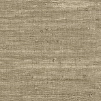 Galerie Wallcoverings Product Code 488-431 - Grasscloth 2 Wallpaper Collection -   