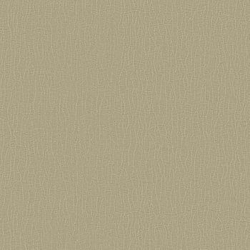 Galerie Wallcoverings Product Code DC30042 - Designer Colours Wallpaper Collection - Beige Colours -  