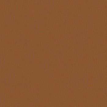 Galerie Wallcoverings Product Code DC30044 - Designer Colours Wallpaper Collection - Orange Colours -  