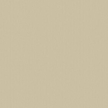 Galerie Wallcoverings Product Code DC30103 - Designer Colours Wallpaper Collection - Beige Colours -  