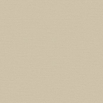 Galerie Wallcoverings Product Code DC30117 - Designer Colours Wallpaper Collection - Beige Colours -  