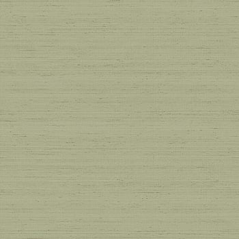 Galerie Wallcoverings Product Code IS33395 - Synergy Wallpaper Collection - Green Colours -  